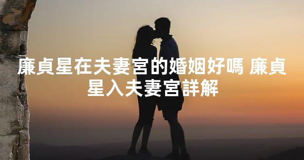 廉貞星在夫妻宮的婚姻好嗎 廉貞星入夫妻宮詳解